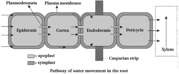 Solution diagram