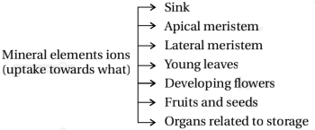 Solution diagram