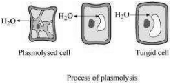 Question diagram