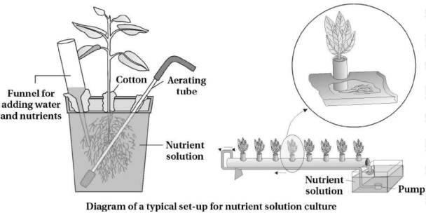 Solution diagram