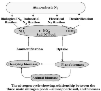 Solution diagram