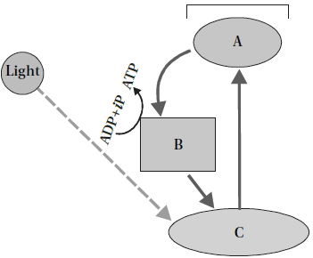 Question diagram