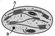 Question diagram