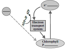 Question diagram