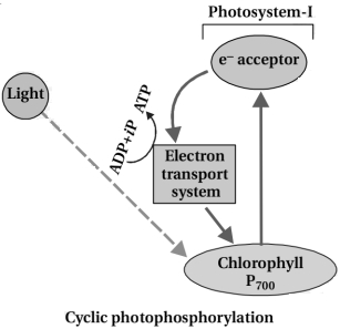 Solution diagram