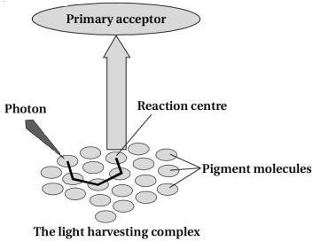 Solution diagram