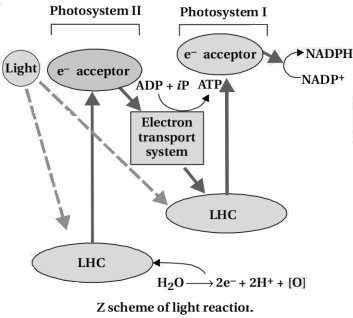 Solution diagram