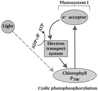 Solution diagram