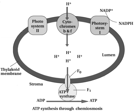 Solution diagram