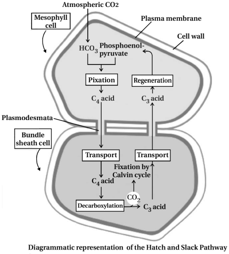 Solution diagram
