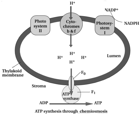 Solution diagram