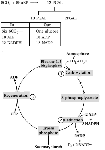 Solution diagram