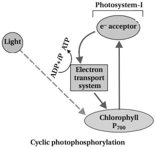 Solution diagram