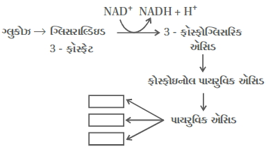Question diagram