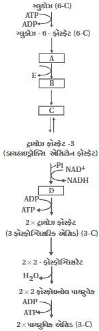 Question diagram