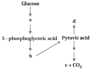 Question diagram