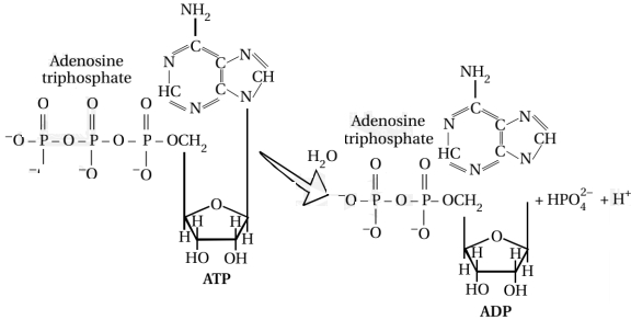 Solution diagram