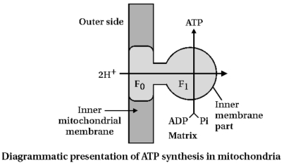 Solution diagram