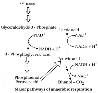 Solution diagram