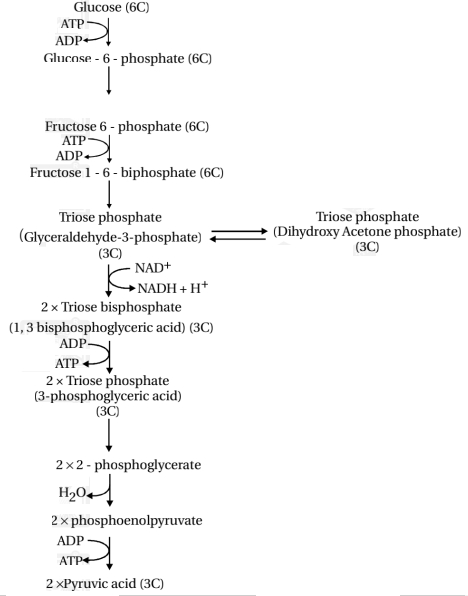 Solution diagram