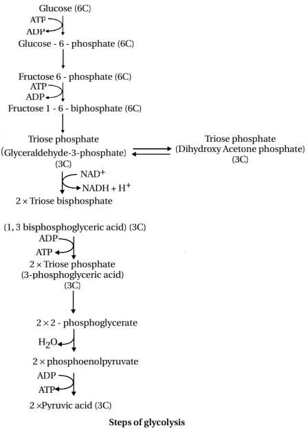 Solution diagram