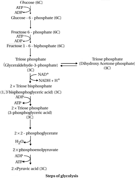 Solution diagram
