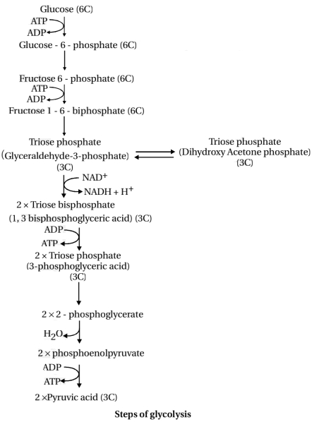 Solution diagram