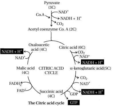 Solution diagram