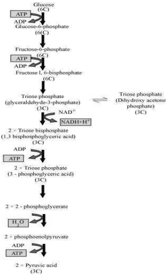Solution diagram