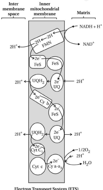 Solution diagram
