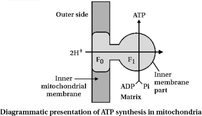 Solution diagram