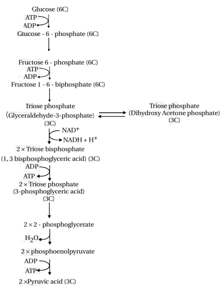 Solution diagram