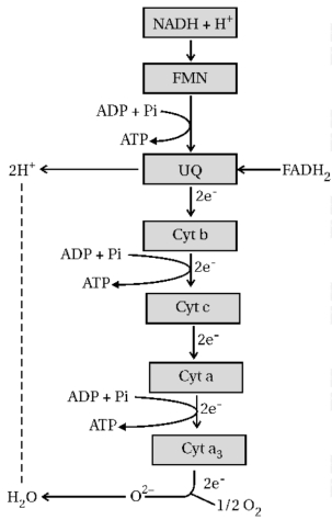Solution diagram