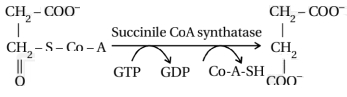Solution diagram