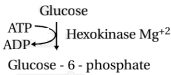 Solution diagram