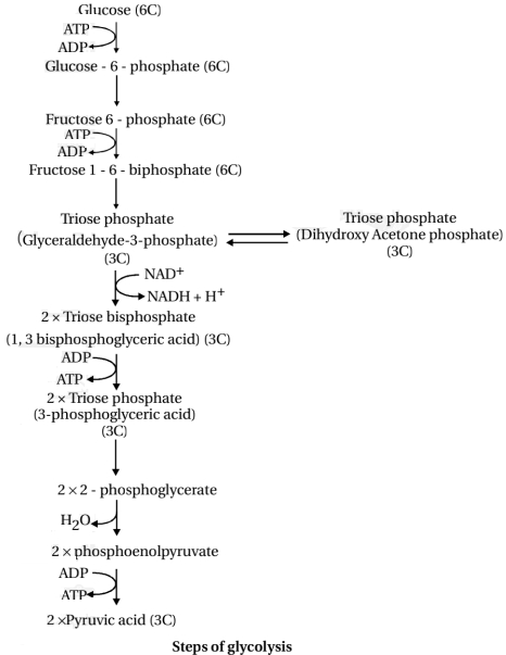 Solution diagram