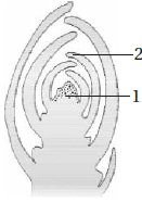 Question diagram