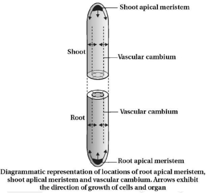 Solution diagram