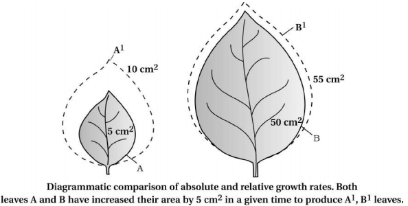 Solution diagram