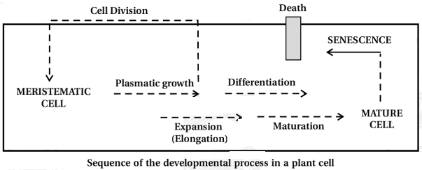 Solution diagram