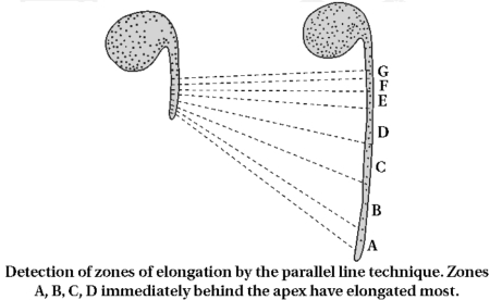 Solution diagram