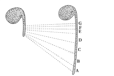 Question diagram