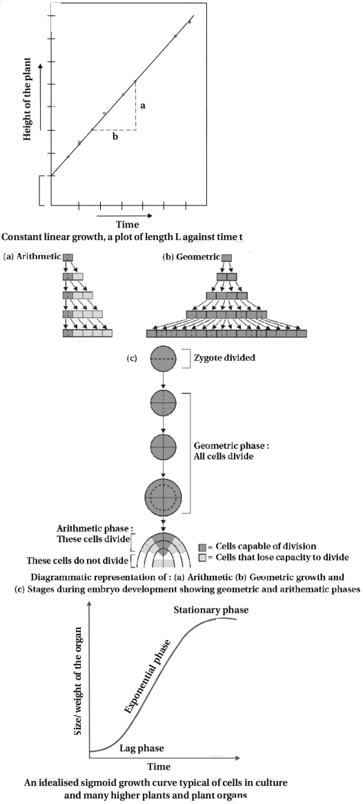 Solution diagram