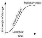 Solution diagram