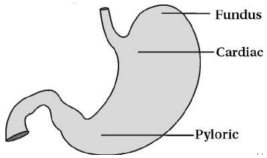 Solution diagram