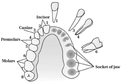 Solution diagram