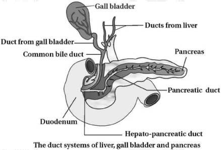 Solution diagram
