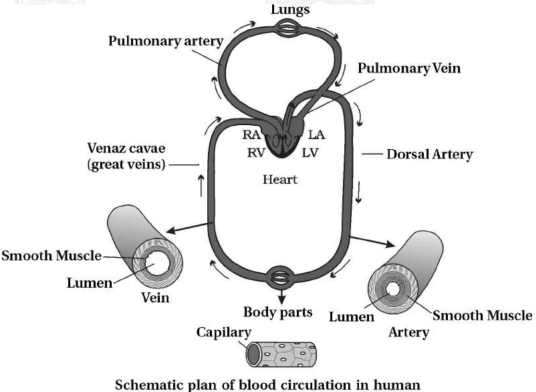 Solution diagram