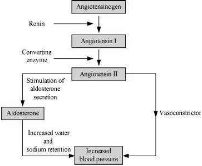 Solution diagram