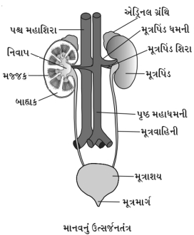 Question diagram